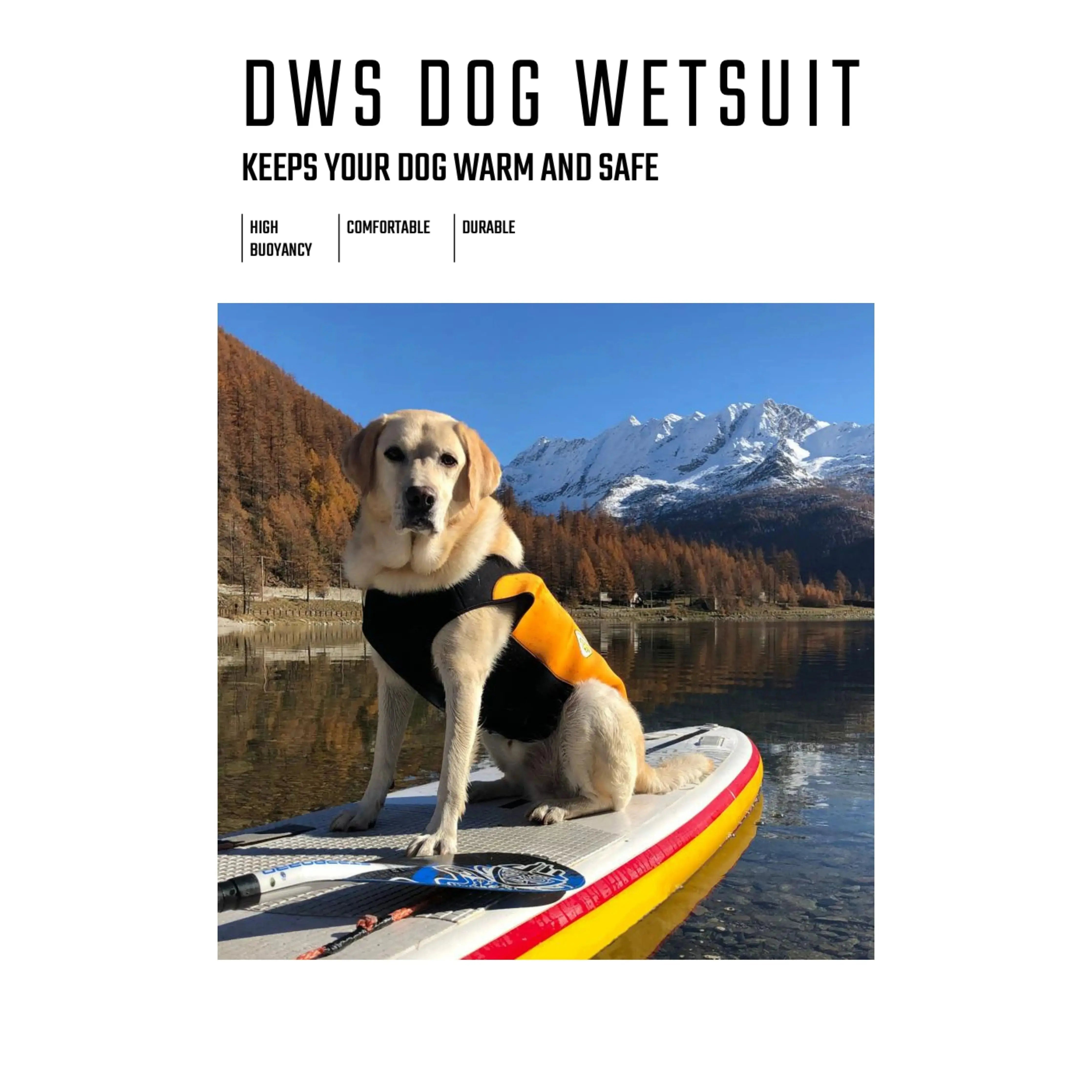 Dogs Wetsuit Big Sizes Cressi Dogs Cold Protection Swimcore