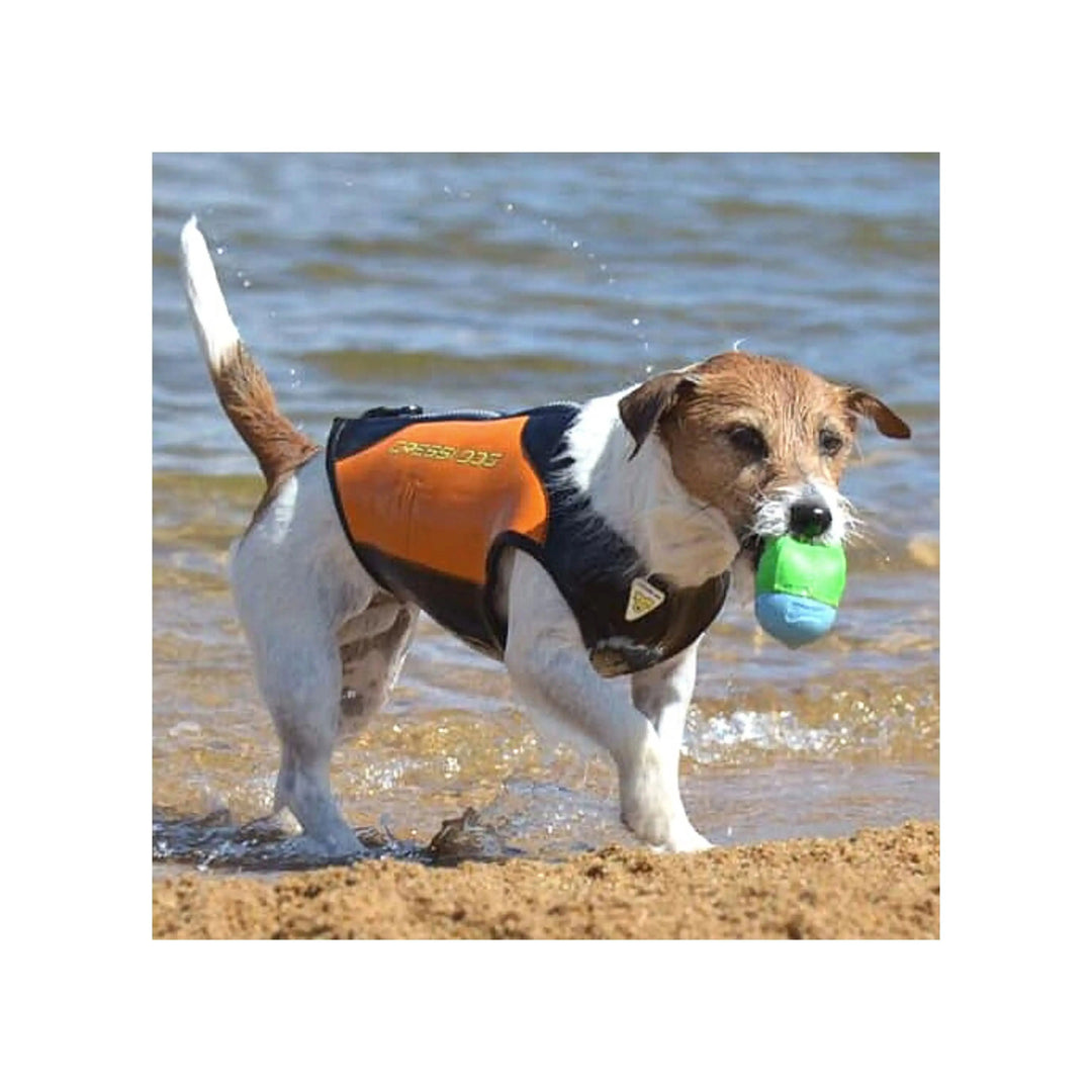 Dog Wetsuit Small Sizes | CRESSI DOG Swimcore