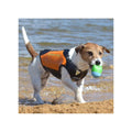 Dog Wetsuit Small Sizes | CRESSI DOG Swimcore