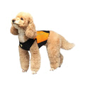 Dog Wetsuit Small Sizes | CRESSI DOG Swimcore