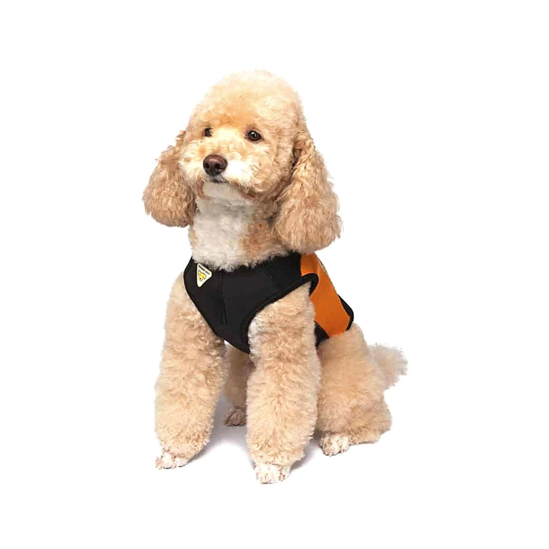 Dog Wetsuit Small Sizes | CRESSI DOG Swimcore