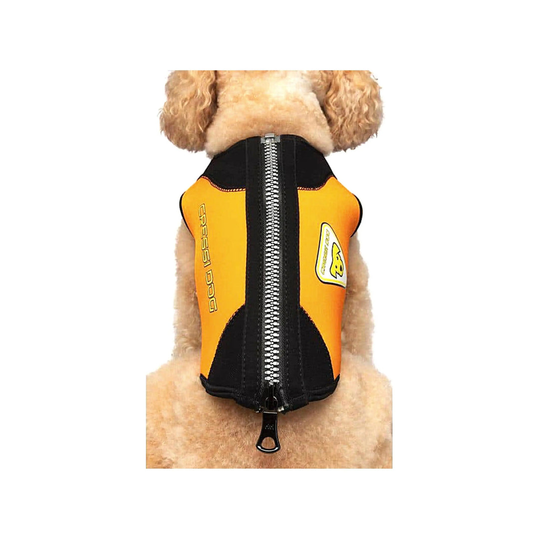 Dog Wetsuit Small Sizes | CRESSI DOG Swimcore