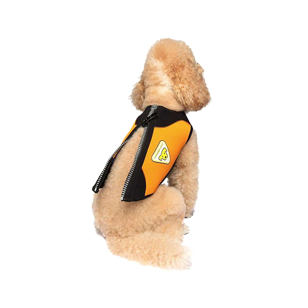 Dog Wetsuit Small Sizes | CRESSI DOG Swimcore