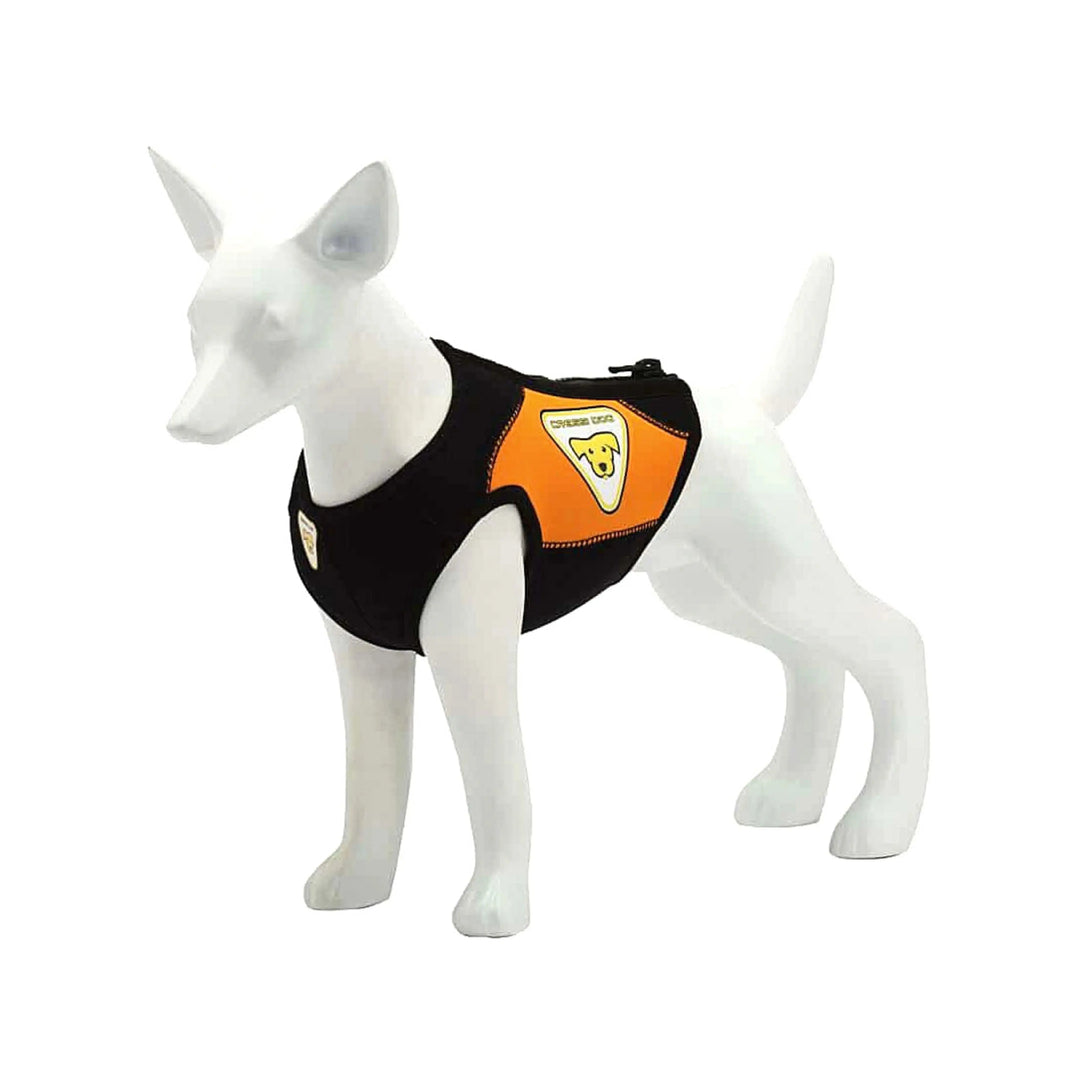 Dog Wetsuit Small Sizes | CRESSI DOG Swimcore