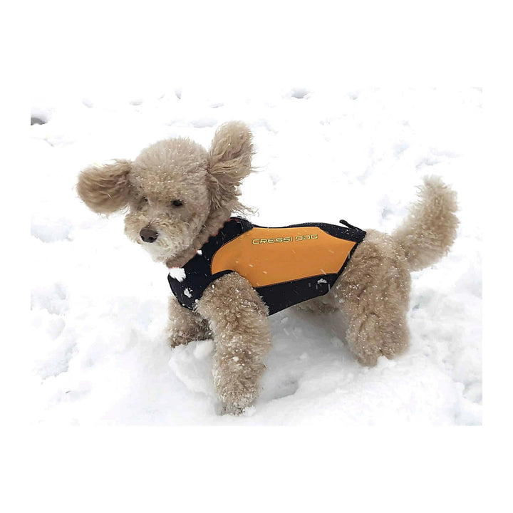Dog Wetsuit Small Sizes | CRESSI DOG Swimcore