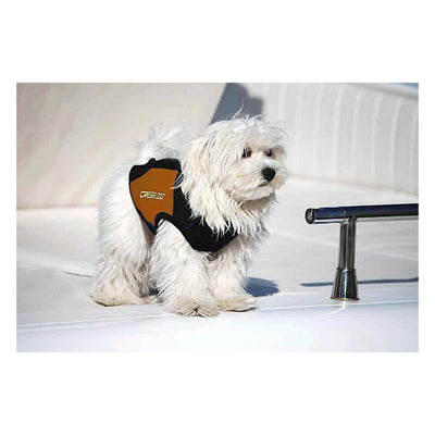Dog Wetsuit Small Sizes | CRESSI DOG Swimcore