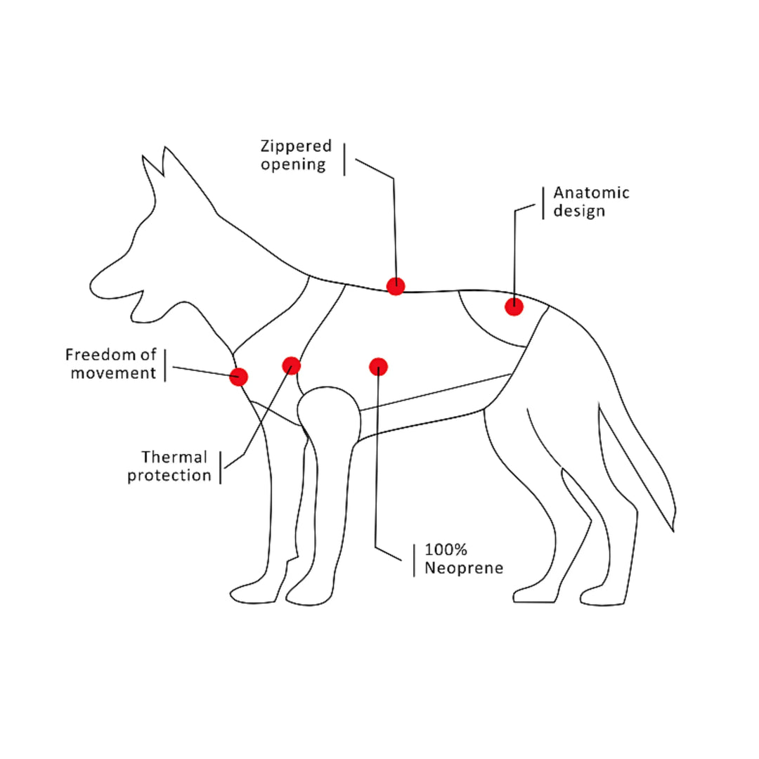 Dog Wetsuit Small Sizes | CRESSI DOG Swimcore