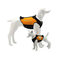 Dog Wetsuits Medium Sizes | CRESSI DOG 1 Swimcore