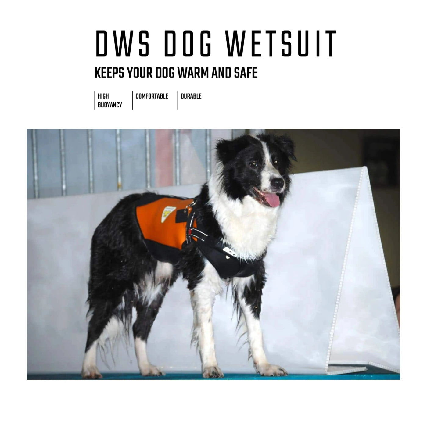 Dog Wetsuits Medium Sizes | CRESSI DOG Swimcore