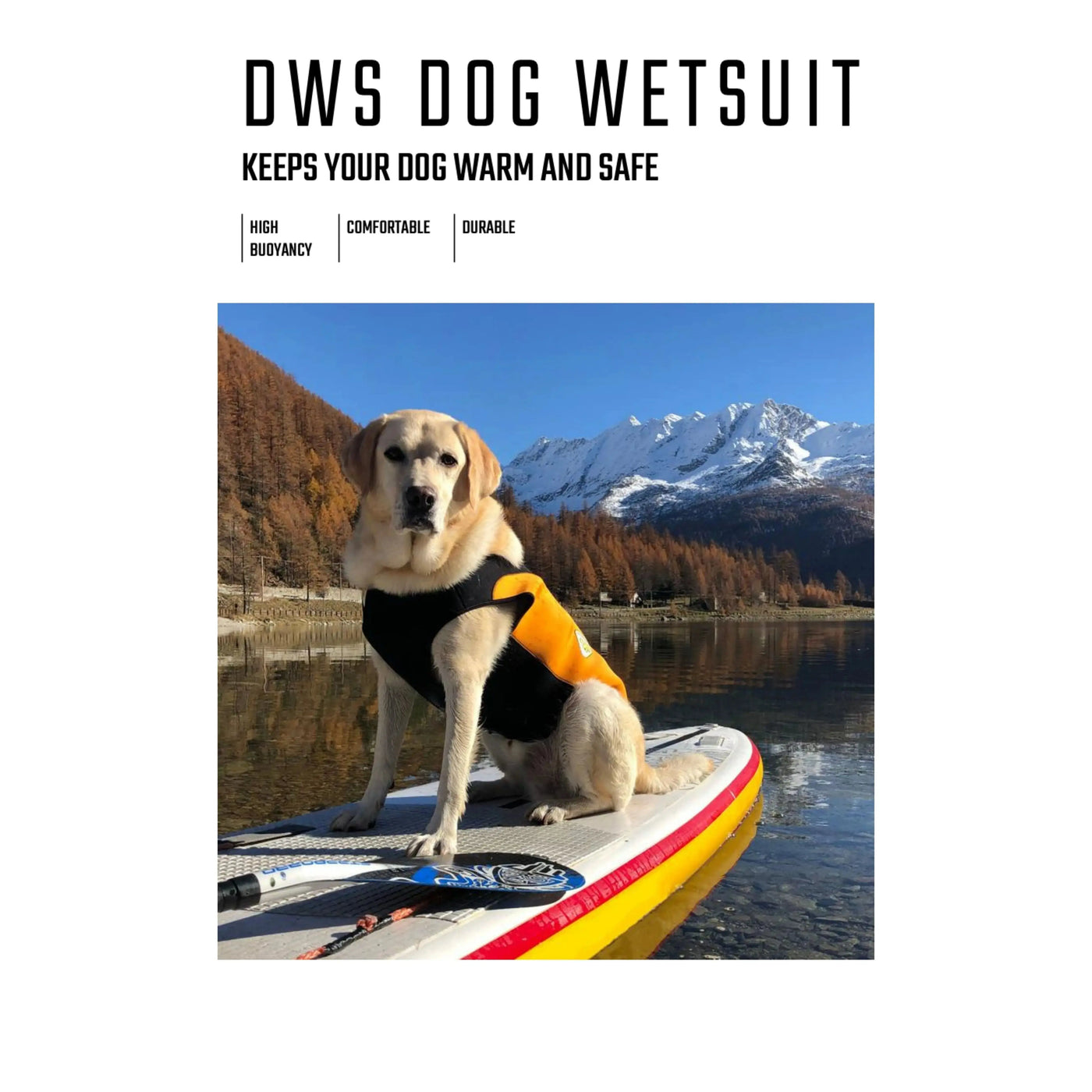 Dogs Wetsuit Big Sizes