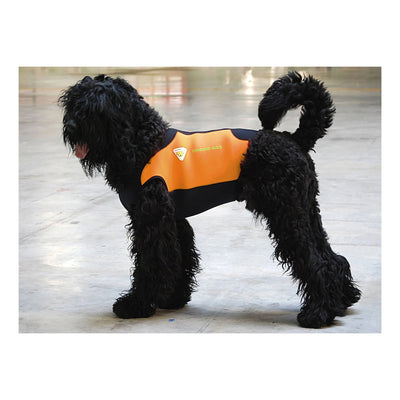 Dogs Wetsuit Big Sizes