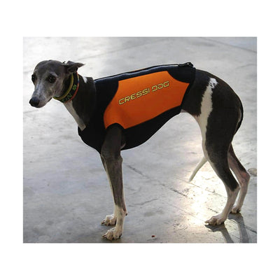 Dogs Wetsuit Big Sizes